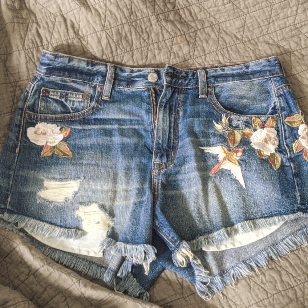 American Eagle Outfitters Vintage Festival Shorts
